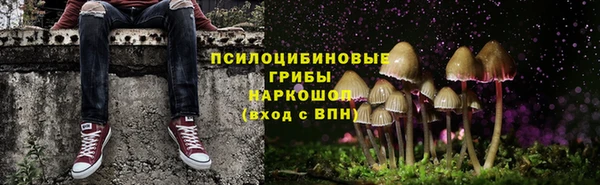 2c-b Балахна