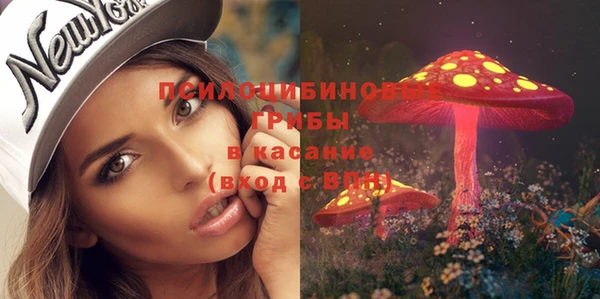 2c-b Балахна