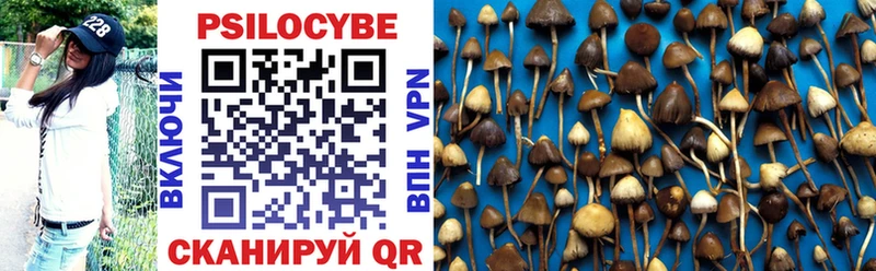Галлюциногенные грибы Magic Shrooms  Губаха 